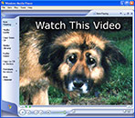 Watch This Video